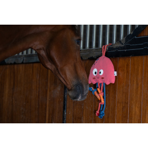 The Eskadron Jellyfish Stable Toy in a coral blossom colour and a horse playing with it.