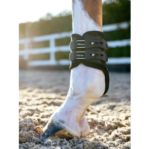 LeMieux Exo-Flex Fetlock Boots