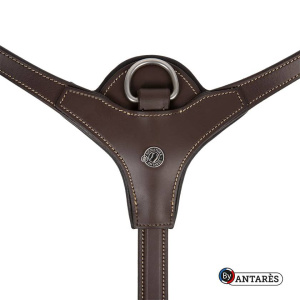 Antares Signature Yoke Collar Black