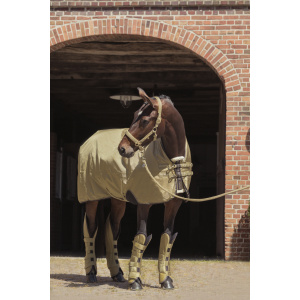 Eskadron Beta Turnout Rug, image shown on a horse.