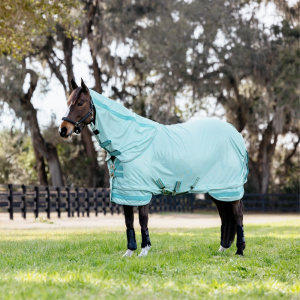 Lemieux Arika Fly Rug, in the colour aqua, image from the side