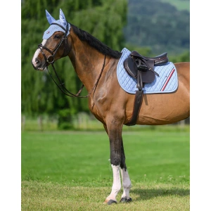 Tommy Hilfiger Stanford Pad, colour features "sweet blue", photo on a horse