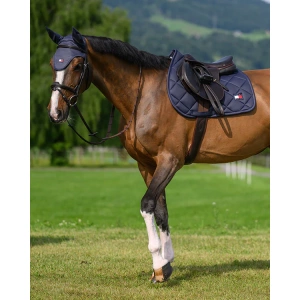 Tommy Hilfiger Saddlepad, jump cut, in the colour faded indigo. Image shown on a horse.