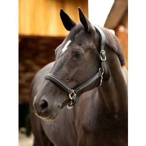 Lemieux Leather Crystal Headcollar