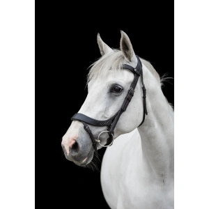 EcoRider Comfort Bridle