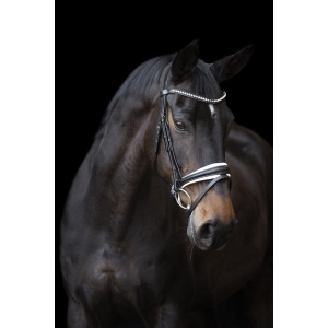Imperial Riding Bridle Fria