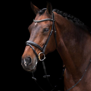 HVP Bridle Legacy