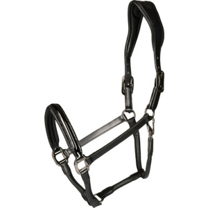 Catago Novi Headcollar